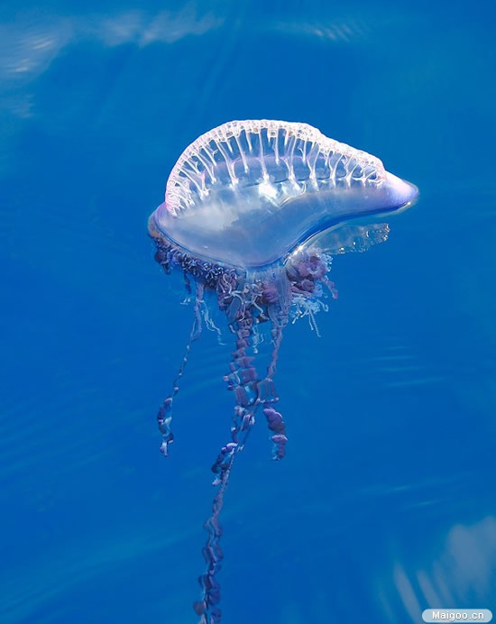 �������ϴ���ɮñˮĸ���˾���������ͼƬ ��ô����Ū��ɮñˮĸ