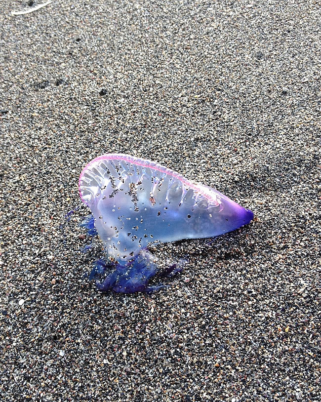 �������ϴ���ɮñˮĸ���˾���������ͼƬ ��ô����Ū��ɮñˮĸ