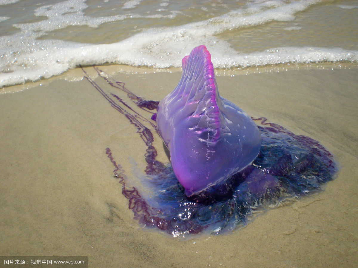 �������ϴ���ɮñˮĸ���˾���������ͼƬ ��ô����Ū��ɮñˮĸ