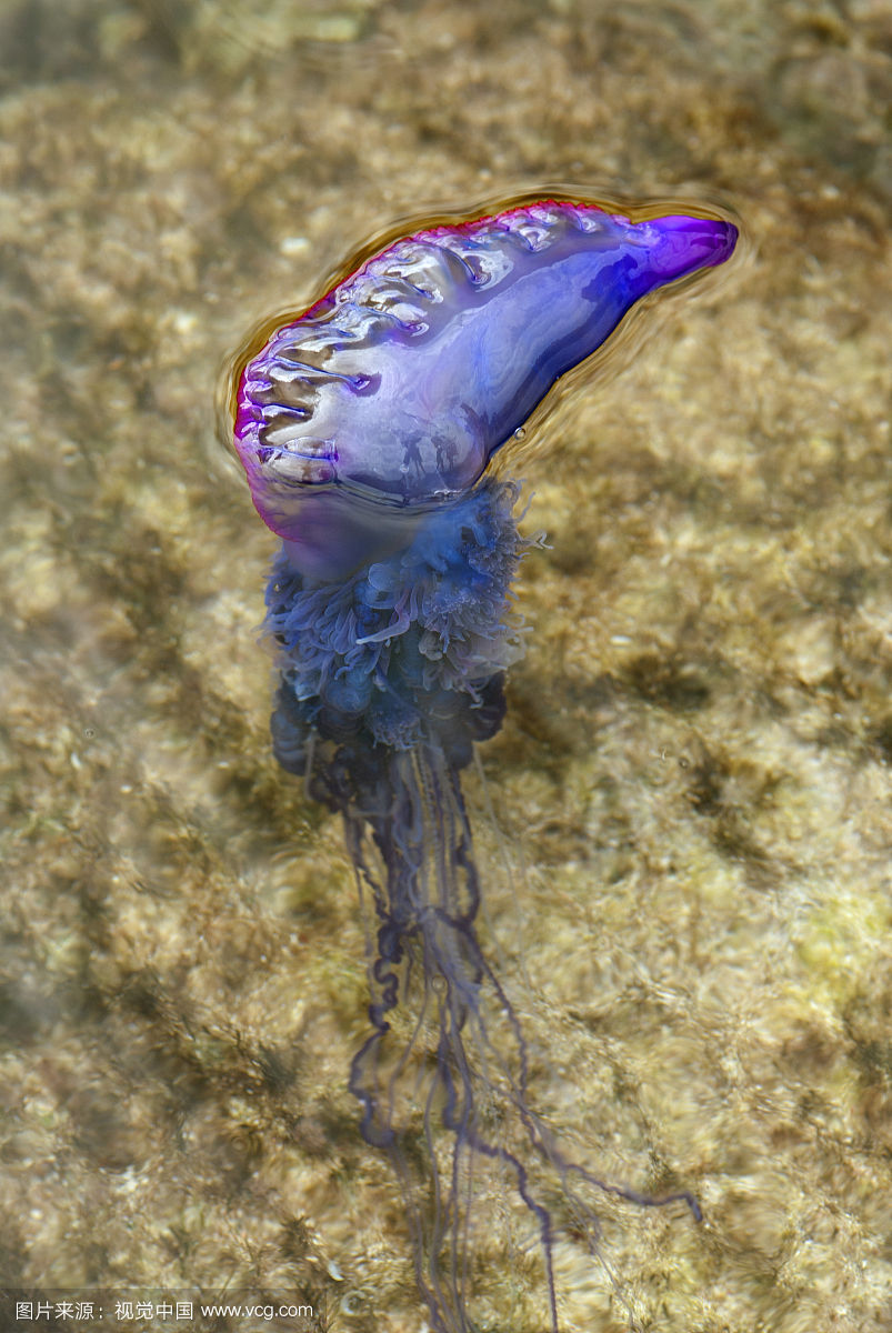 �������ϴ���ɮñˮĸ���˾���������ͼƬ ��ô����Ū��ɮñˮĸ