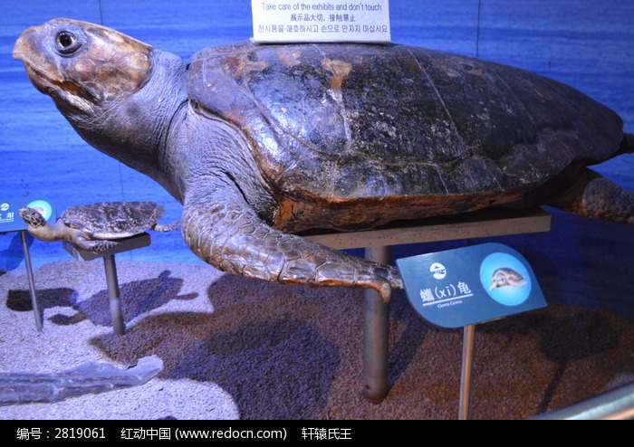 �������ϴ���ɮñˮĸ���˾���������ͼƬ ��ô����Ū��ɮñˮĸ