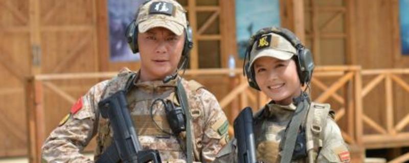 ��㺸�����Ϊʲô���