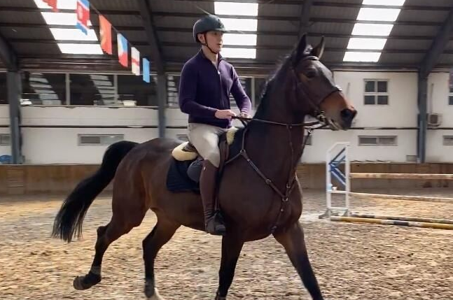 朱珠老公王昀佳知乎 知乎怎么看待朱珠老公王昀佳