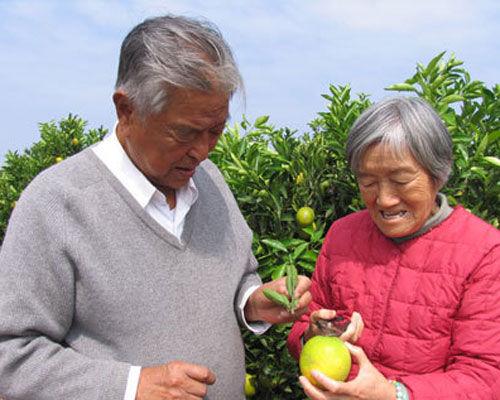 ��ʱ�����������Ҹ������ϼ��������� ������ʲô����ο���