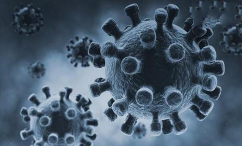 世界10大最恐怖病毒 史上最强病毒介绍 埃博拉最后怎么消失的