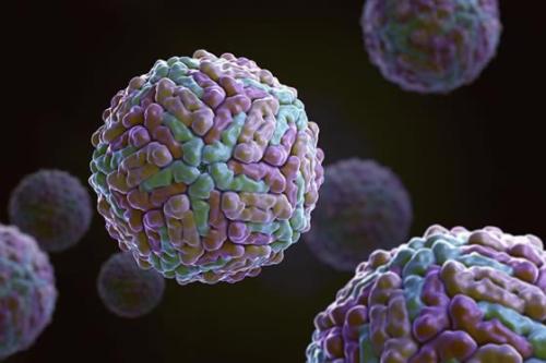 世界10大最恐怖病毒 史上最强病毒介绍 埃博拉最后怎么消失的