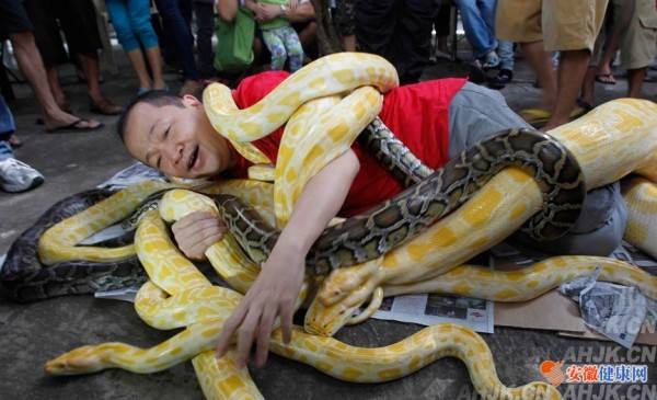 �����߳�ɶ����ͼƬ�����϶����� �����߻�ҧ����Ϊʲô���ܴ���