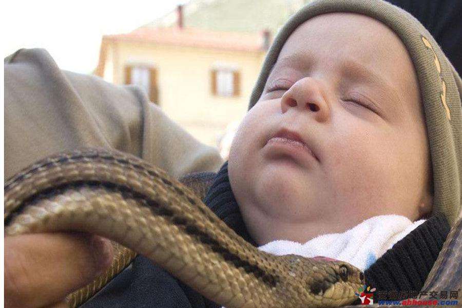 �����߳�ɶ����ͼƬ�����϶����� �����߻�ҧ����Ϊʲô���ܴ���