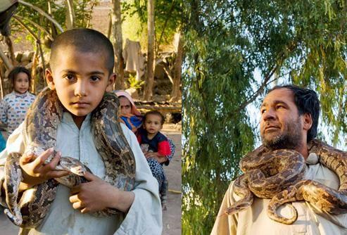 �����߳�ɶ����ͼƬ�����϶����� �����߻�ҧ����Ϊʲô���ܴ���