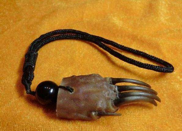 �����ʲô�˲������ �������ʲô���� �ĸ���������������