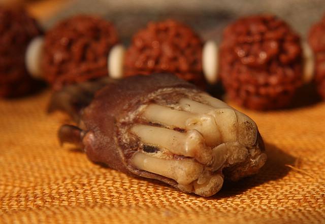 �����ʲô�˲������ �������ʲô���� �ĸ���������������