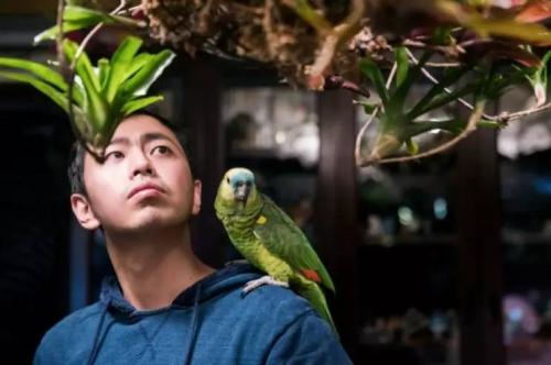 1998��߿�״Ԫ������ ������߿��ɼ� �ձ�������������