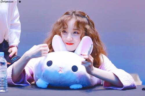 �������������������� cube�����������������һ��ʵ����