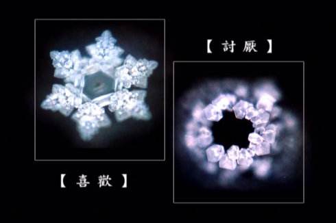 ˮ֪������α��ѧ���ӱ�ҥ�� ����ʤ���ϰ�ƤΪ��׬Ǯ̫�޳���