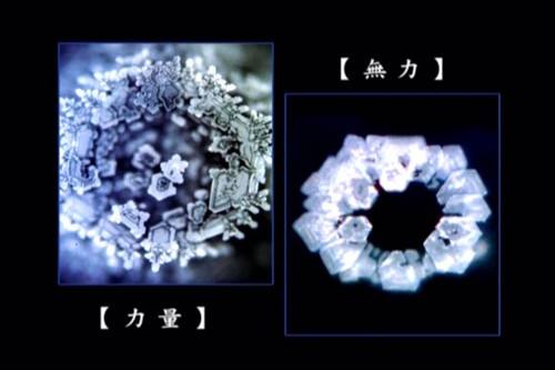 ˮ֪������α��ѧ���ӱ�ҥ�� ����ʤ���ϰ�ƤΪ��׬Ǯ̫�޳���