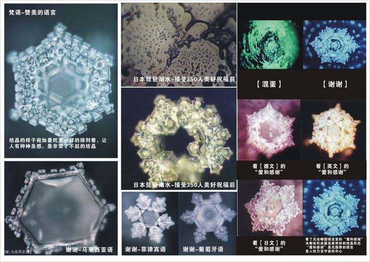 ˮ֪������α��ѧ���ӱ�ҥ�� ����ʤ���ϰ�ƤΪ��׬Ǯ̫�޳���