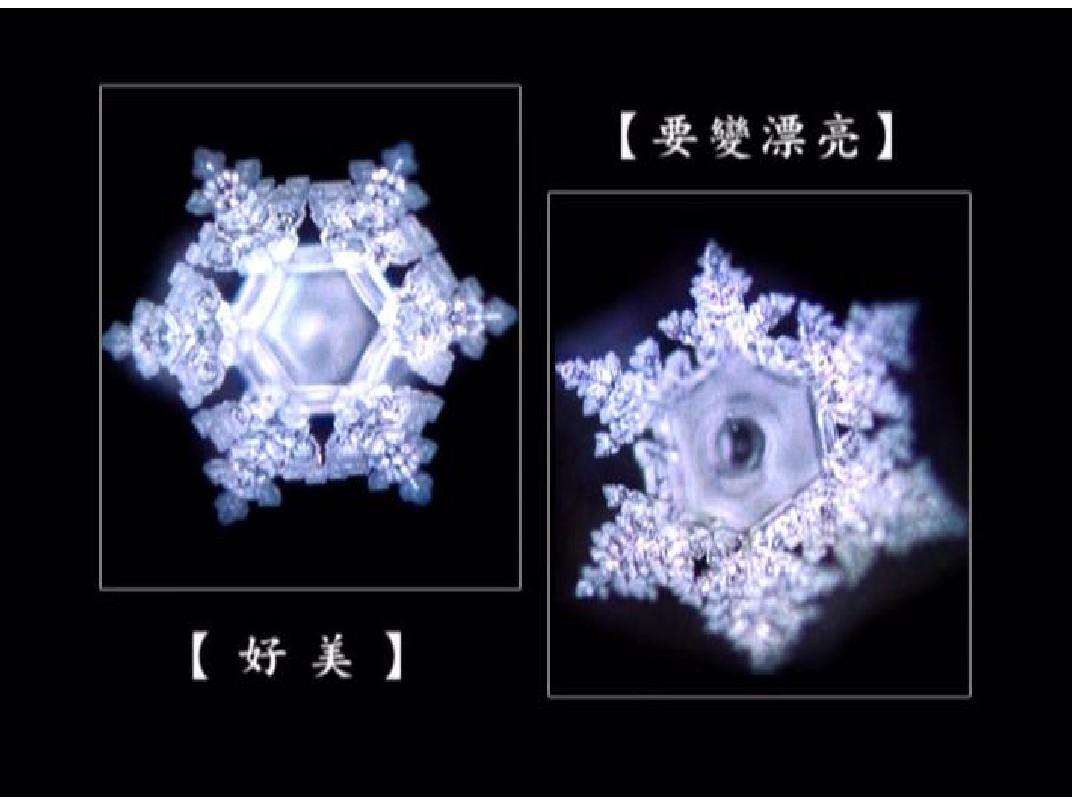 ˮ֪������α��ѧ���ӱ�ҥ�� ����ʤ���ϰ�ƤΪ��׬Ǯ̫�޳���