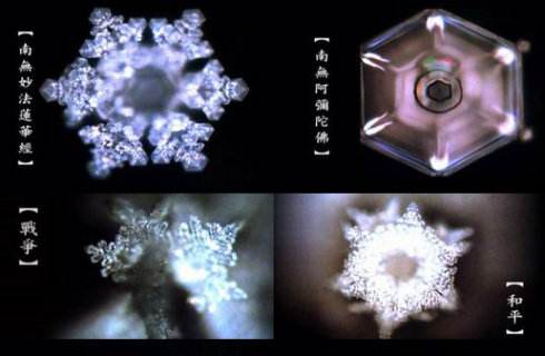 ˮ֪������α��ѧ���ӱ�ҥ�� ����ʤ���ϰ�ƤΪ��׬Ǯ̫�޳���