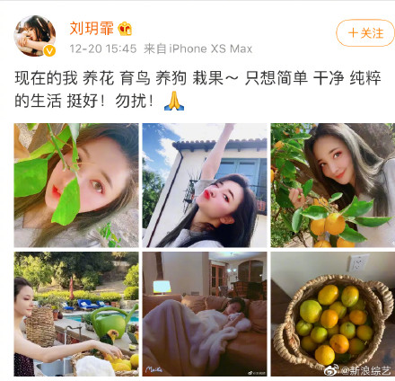 ����Ϊʲô����������Ǹ������ʲôԨԴ ���ʺ���������Թʼĩ