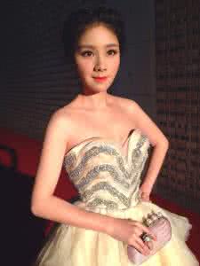 ���ճ�������ԭ�� ���ճ�������ʵ������ ����Ϊʲô��ô�޳���