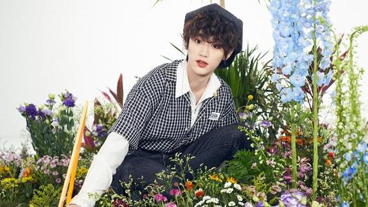 丁程鑫为什么晚一年高考 丁程鑫让人心疼的经历到底经历了什么