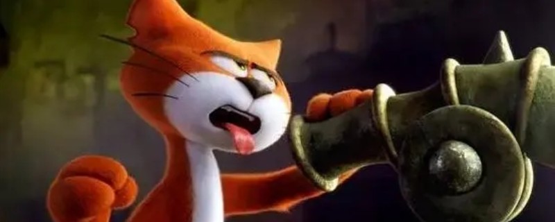 ����׵�è��ʲô����