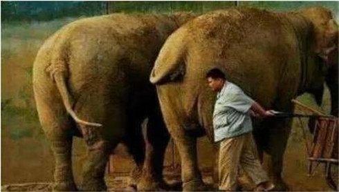 ��������Խ������˭����������Ƭ����ǫ��ϵ ��Խ��������ǫǰ��