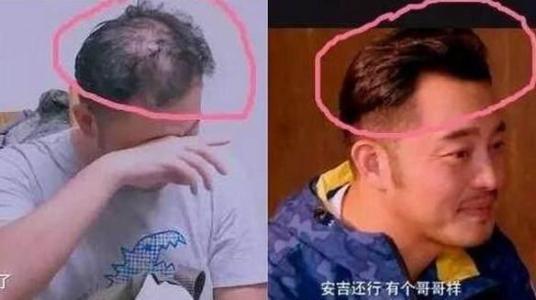 ɳ��ͺ�����ֲ�ͺ����ͷ��������ٺ���� ɳ����ٷ�����������