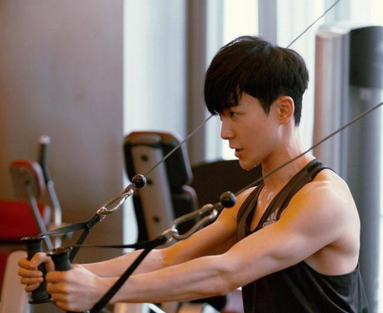 沈凌得罪谁了怎么突然没消息了 沈凌为什么被雪藏近况做什么去了