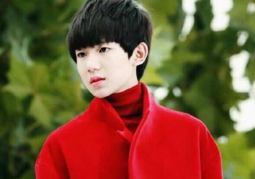 王景春和王源是父子吗 王源没有参加高考吗是谁旗下艺人