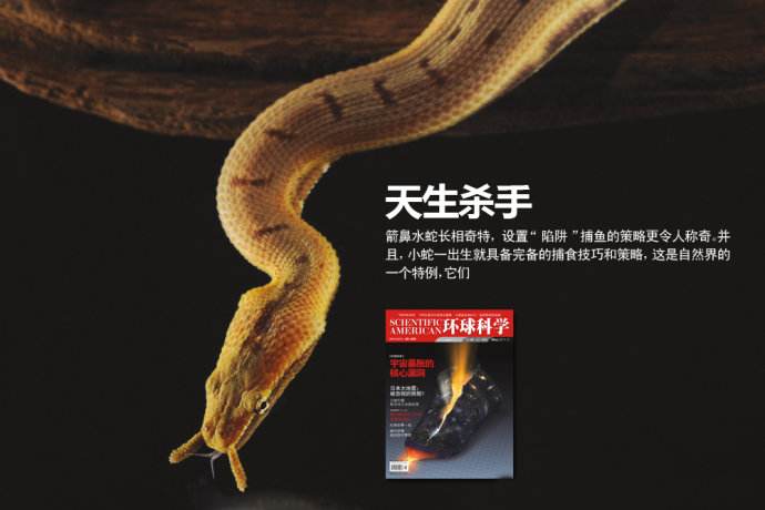 ��������ô������ٶ�̫��ȫ���̷�����ͼ ��������ô����С���