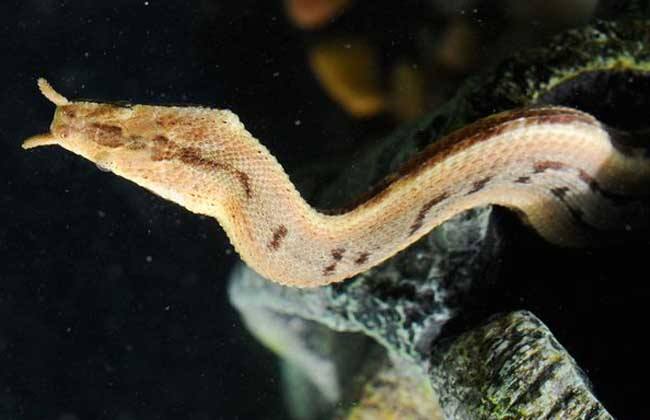 ��������ô������ٶ�̫��ȫ���̷�����ͼ ��������ô����С���