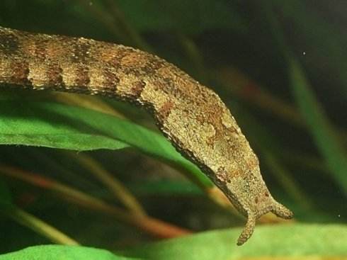 ��������ô������ٶ�̫��ȫ���̷�����ͼ ��������ô����С���