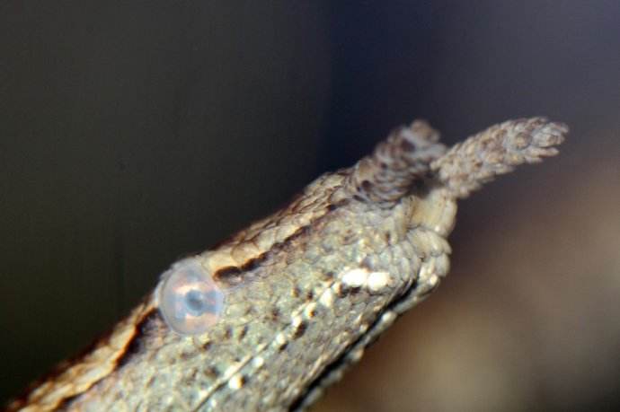 ��������ô������ٶ�̫��ȫ���̷�����ͼ ��������ô����С���