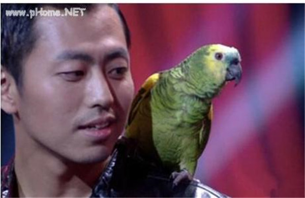 ��ǿ�������������������������� ������Ϊʲô�������������Ļ