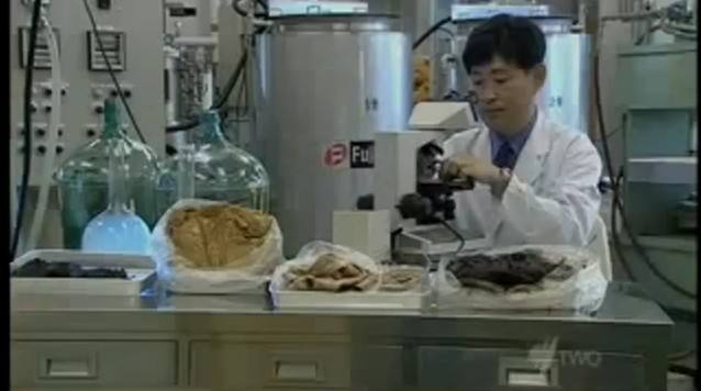 日本人发明粪肉是用人粪吗口感好吃吗 粪肉图片光看颜色就好倒胃