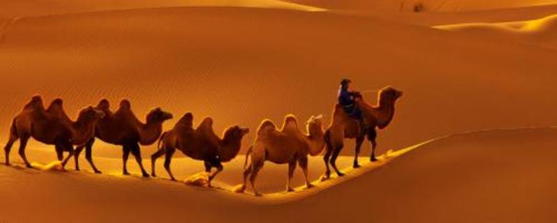 ɳĮ����ԭ����˭