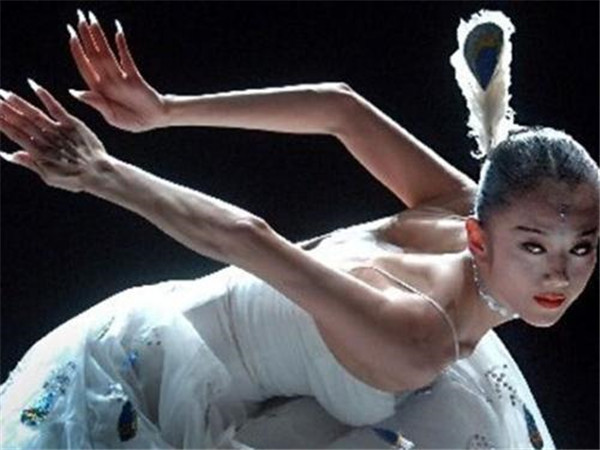 ����Ϊʲô��������Ƽ���ܺ��� ����Ƽ��ô���۽���˭�ĵ�λ����