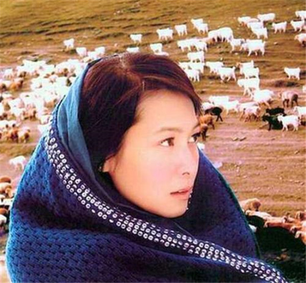 ����ӢΪʲô���̲����� ����Ӣ�ݳ���Ϊʲô���˸��龭�����