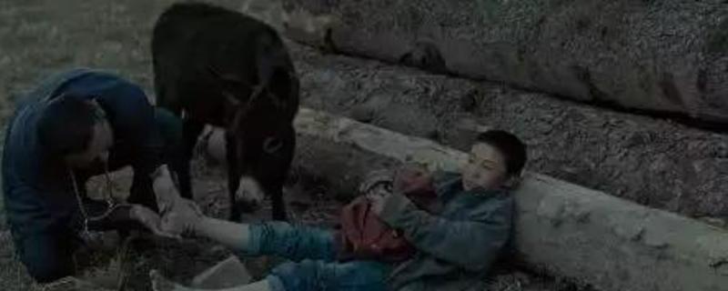 ��Ӱ������ɫ����Ĺ�����ʲô