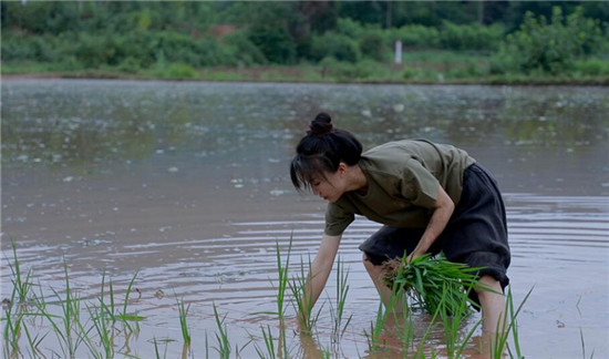 李子柒是包装出来的吗怎么这么假 李子柒天天向上哪一期圈粉