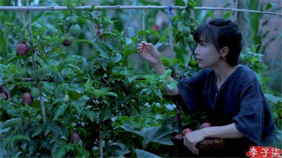 李子柒是包装出来的吗怎么这么假 李子柒天天向上哪一期圈粉