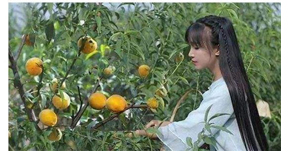 李子柒是包装出来的吗怎么这么假 李子柒天天向上哪一期圈粉