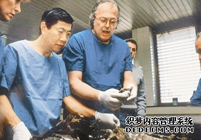 ��̽�������˭ ������Ʋ��˵İ���