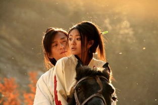 �˳����찲���� �˳�������������������Ļ�ع�