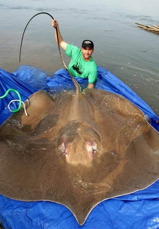 ���ͻ���������һֻ����һ��¥��Ҫ�� �������˲������к���֢