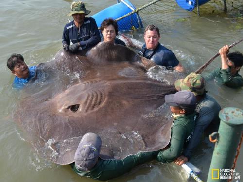 ���ͻ���������һֻ����һ��¥��Ҫ�� �������˲������к���֢