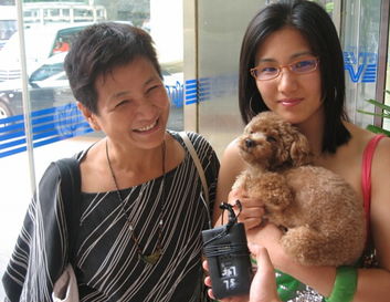 ֣��������ʱ����Ư�� ֣�����Ϲ�ԭ��ͨ��״ ֣�����м�������