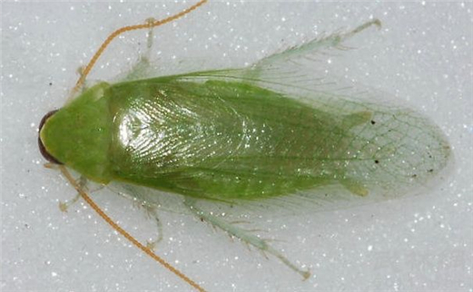 ��ɫ�Ű������ô�ͱ�ɳ����� ������ʳ�����߶��ҳ����ɾ�der~