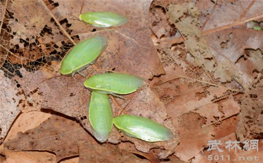 ��ɫ�Ű������ô�ͱ�ɳ����� ������ʳ�����߶��ҳ����ɾ�der~